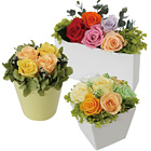 プリザーブドフラワー販売