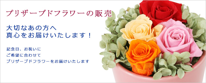 お花・プリザーブドフラワーのことなら