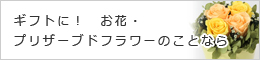 お花・プリザーブドフラワーのことなら